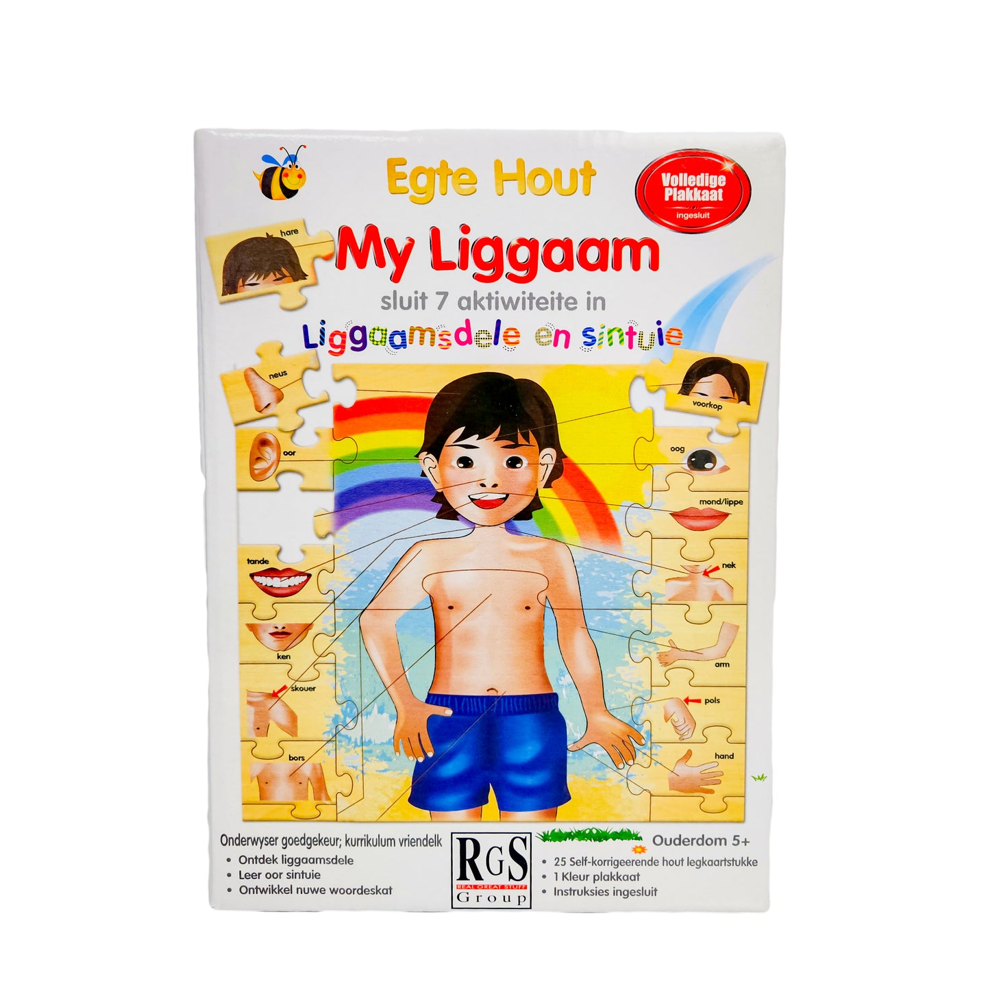 My liggaam - educational puzzle games