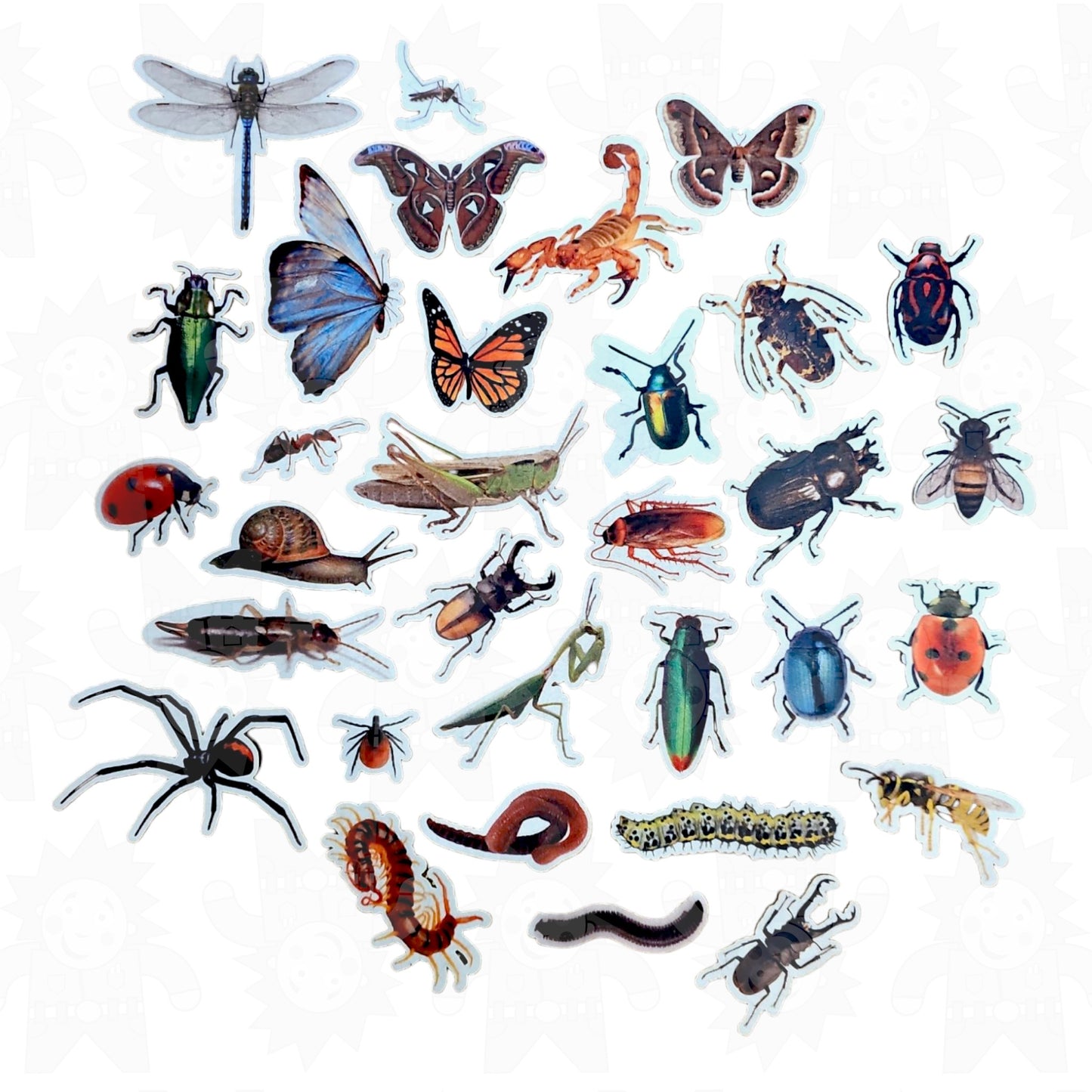 Funky Felt - Insects