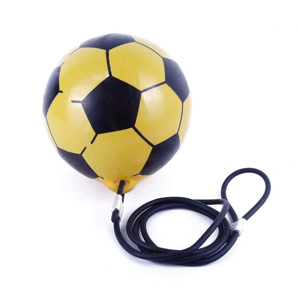 Ball Plastic - Big - Spring Long