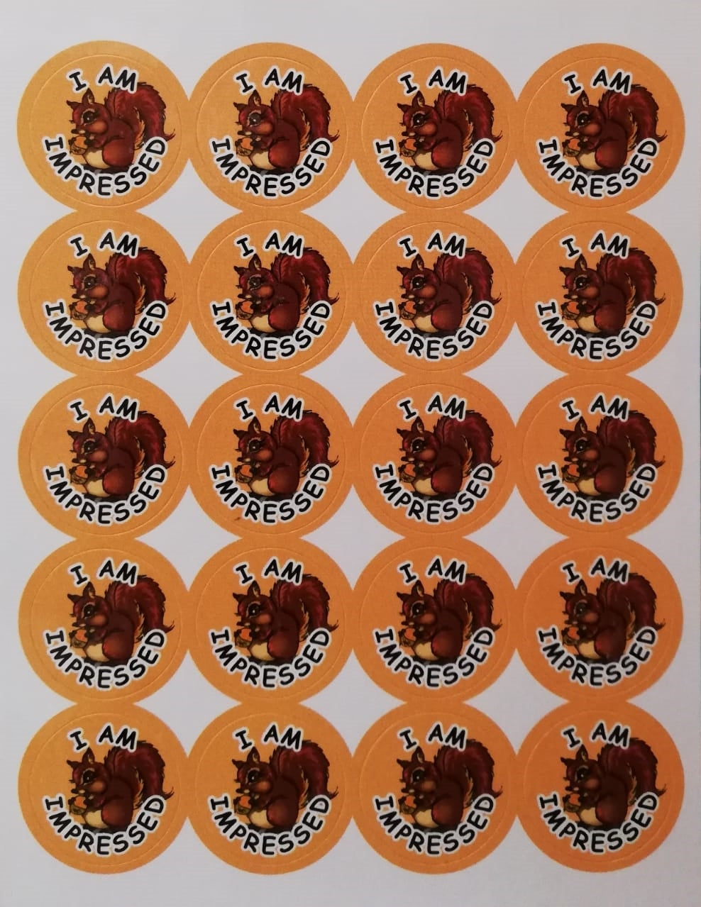 Stickers - I am Impressed Edunation South Africa Stickers English
