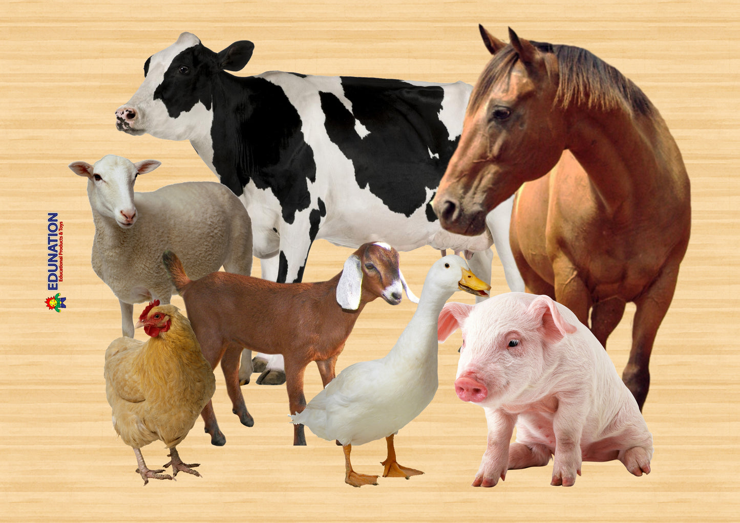 Wooden Puzzle Frame A3 - 24pc Farm Animals Edunation South Africa A3 Frame Puzzles