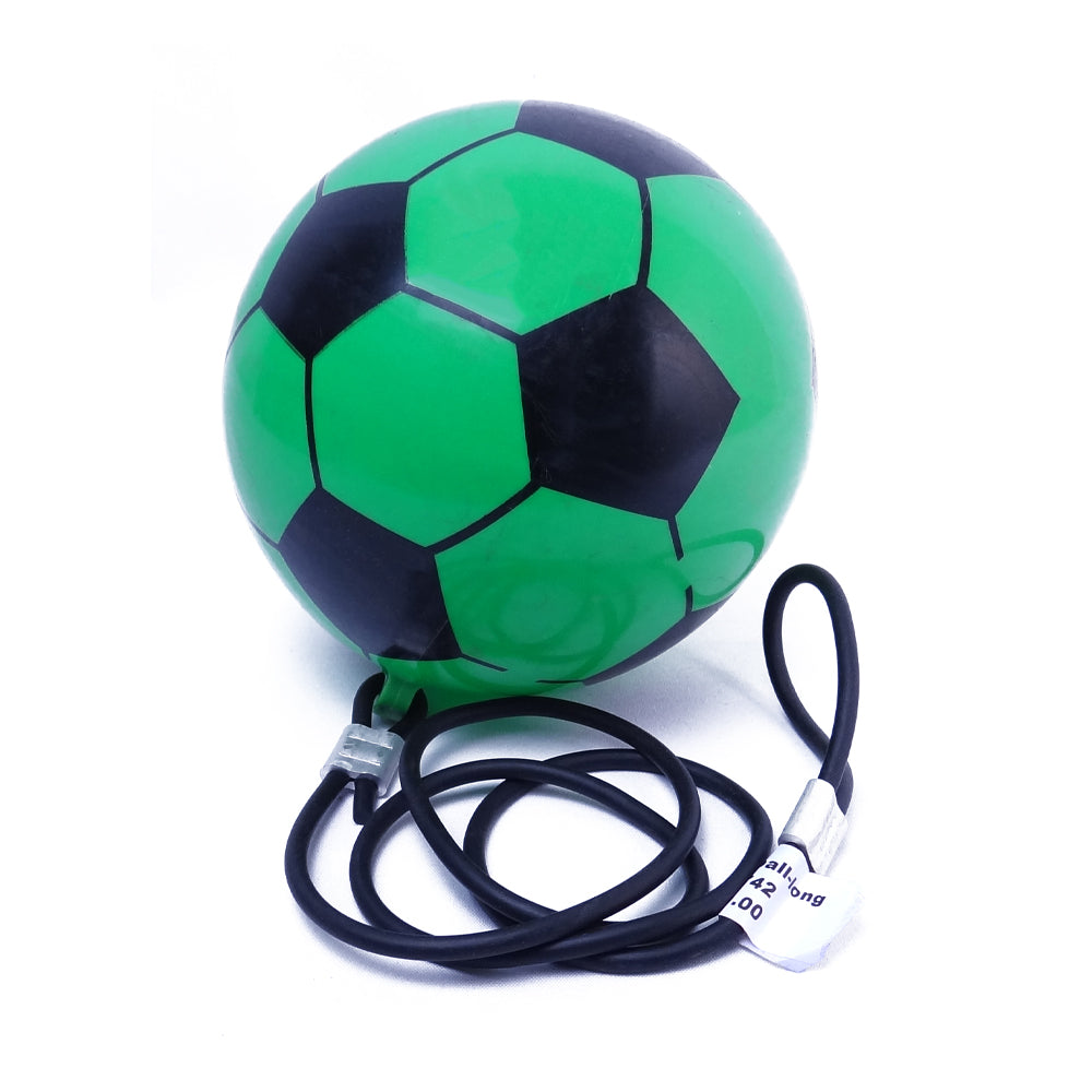 Ball Plastic - Big - Spring Long
