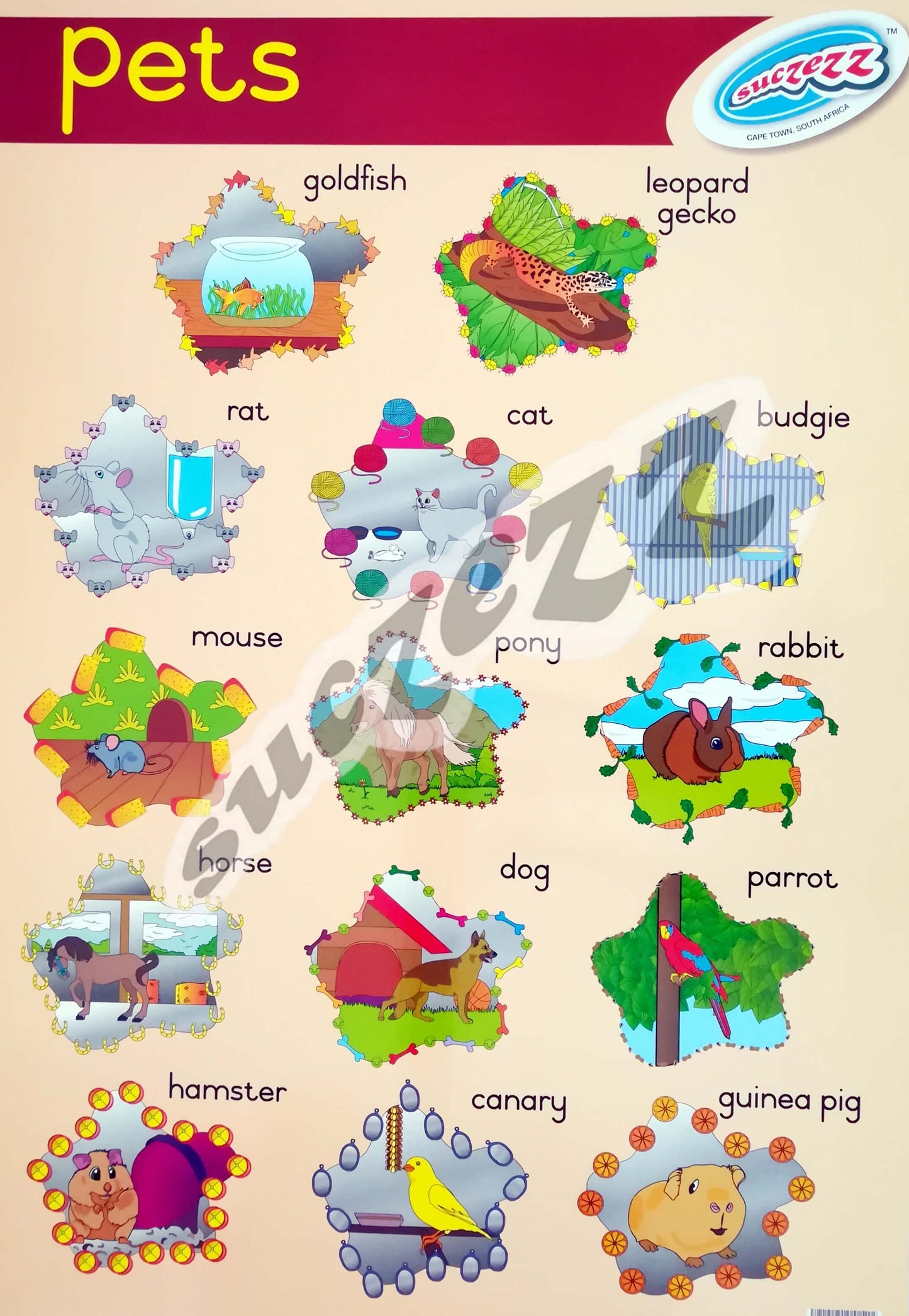 Poster - Pets