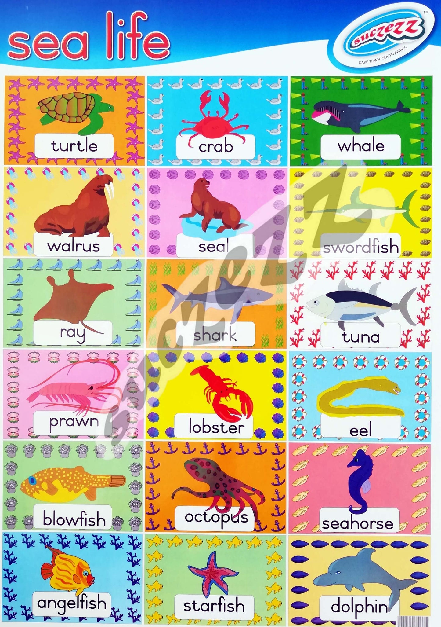 Poster - Sea Life