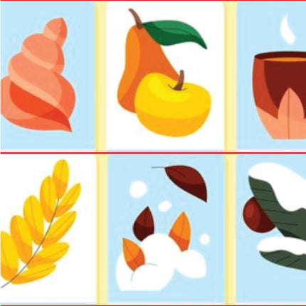 Collection image for: Afrikaans Flashcards