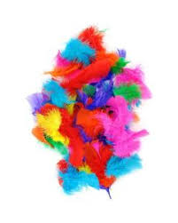 Small Poultry Feathers 10g