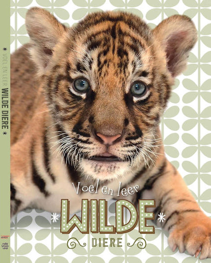 Book - Voel en leer wilde diere