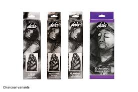 Charcoal Sticks - Assorted 10's