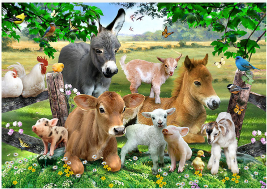 Puzzle - 36 Piece - Farm Animals A4