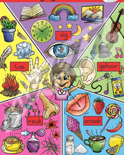 Muurkaart - My vyf sintuie