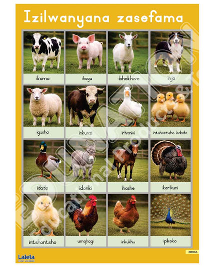 Poster - Lalela Izilwanyana (Farm Animals) - Xhosa