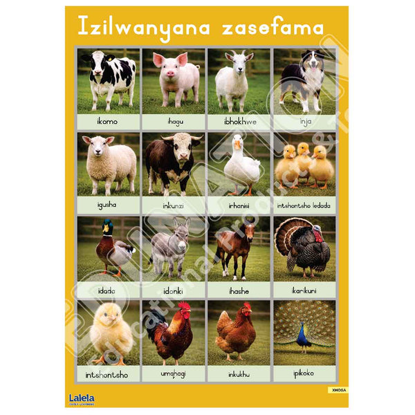 Poster - Lalela Izilwanyana (Farm Animals) - Xhosa