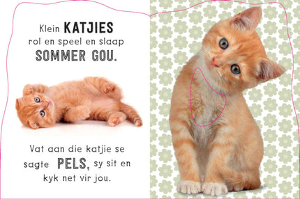 Book - Voel en leer baba diere