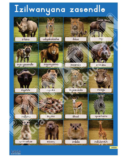 Poster - Lalela Izilwanyana Zasendle (Wild Animals) - Xhosa
