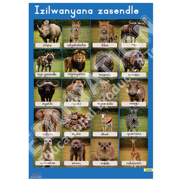 Poster - Lalela Izilwanyana Zasendle (Wild Animals) - Xhosa
