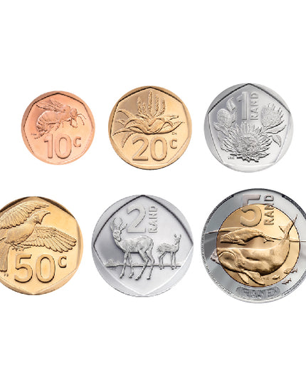 Play Money - Demo set for Classroom - 23 Pieces