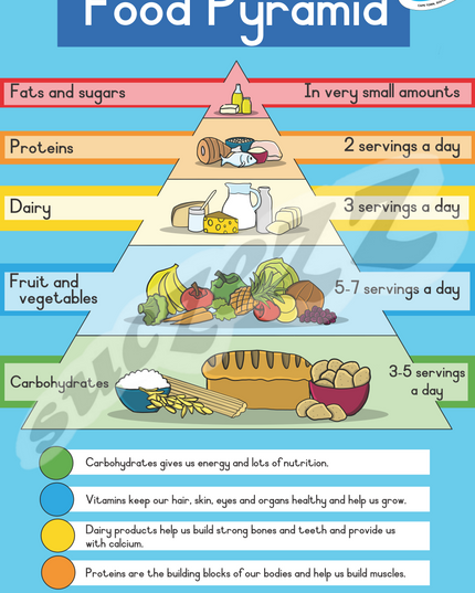 Poster - Food Wheel