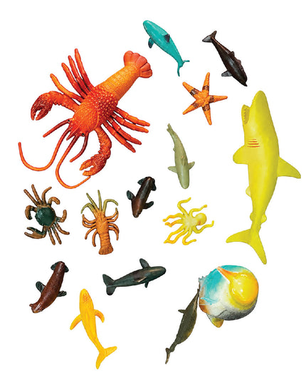 Animal World - Marine and Seaweed - Caledon 4