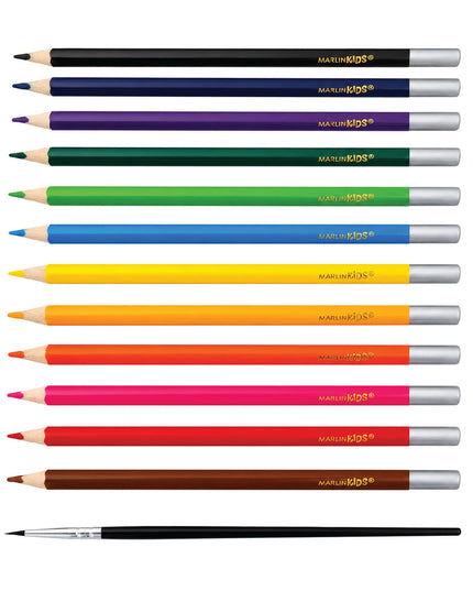 Aquarelle Colour Pencils 12's + Brush - Marlin Kids 4