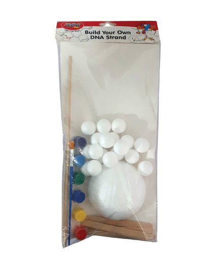 Build Your Own DNA - Stand