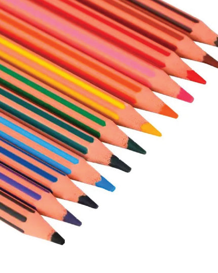 Colouring Pencils - Bic Kids Evolution 12's 4