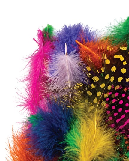 Craft Feathers - Guinea Fowl - Assorted Colours - 1 gram 4