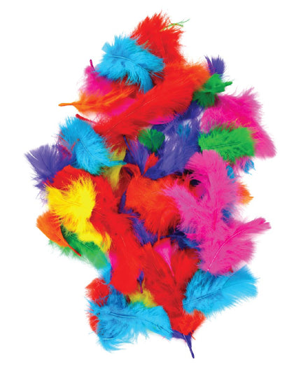 Craft Feathers - Small Poultry - Assorted Colours - 10 grams 2