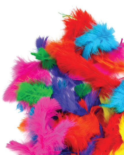 Craft Feathers - Small Poultry - Assorted Colours - 10 grams 4
