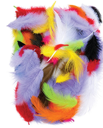 Craft Feathers - Small Poultry - Assorted Colours - 2 grams 2