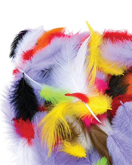 Craft Feathers - Small Poultry - Assorted Colours - 2 grams 4