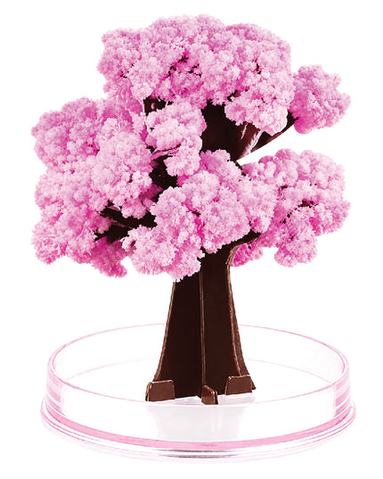 Craft Kit - Magic Tree 4