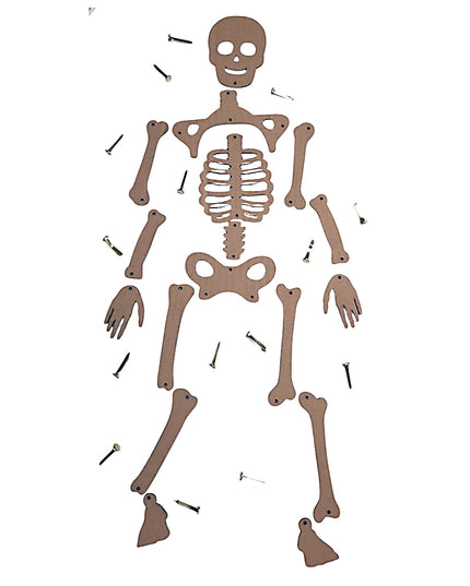 DIY Skeleton from Recycle Material