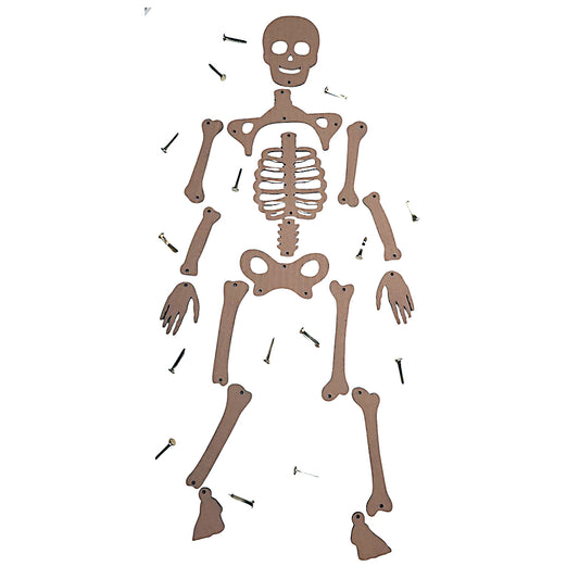 DIY Skeleton from Recycle Material