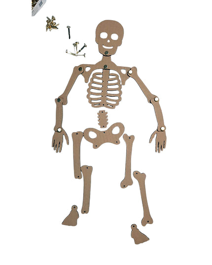 DIY Skeleton from Recycle Material