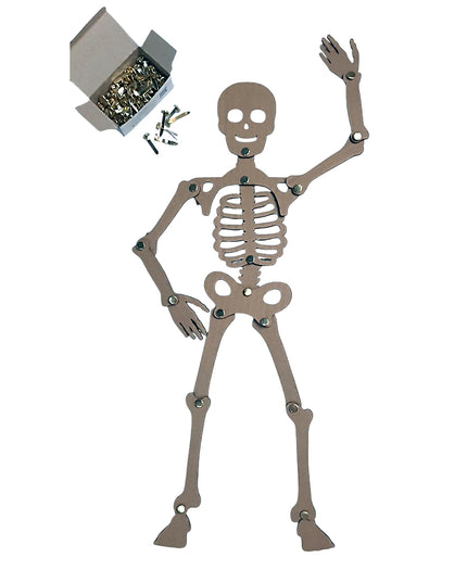 DIY Skeleton from Recycle Material