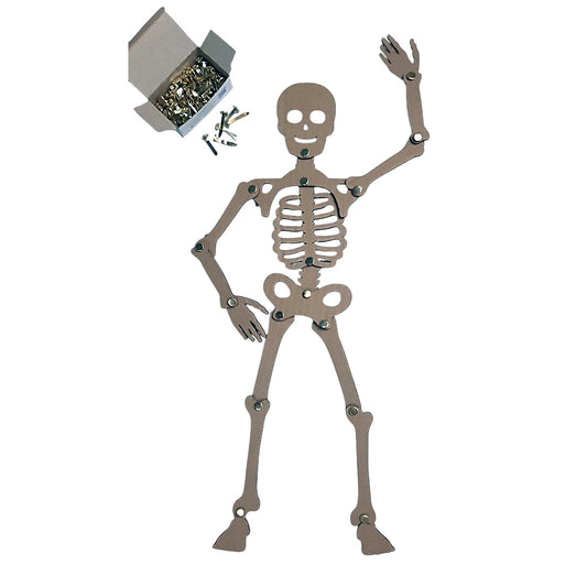 DIY Skeleton from Recycle Material