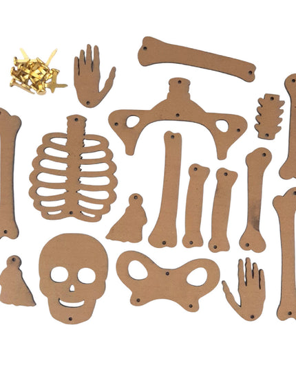 Skeleton from Recycle Material DIY