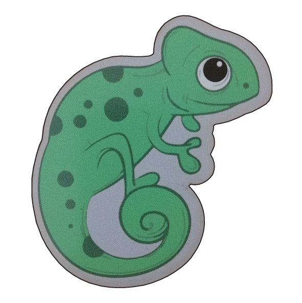 Animal Symbol Chamaeleon