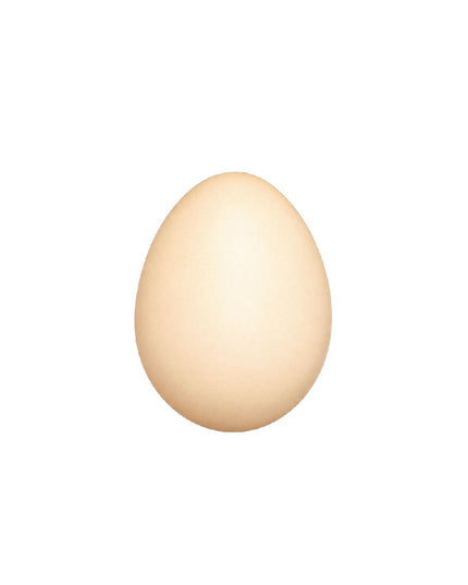 Eggs in mesh - 24's 4