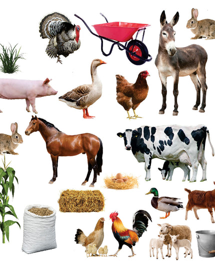 Funky Felt - Farm Animals