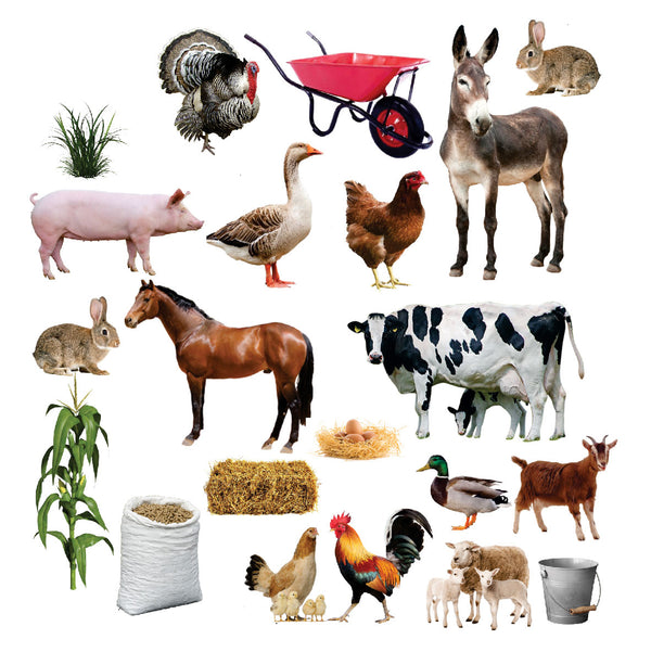 Funky Felt - Farm Animals