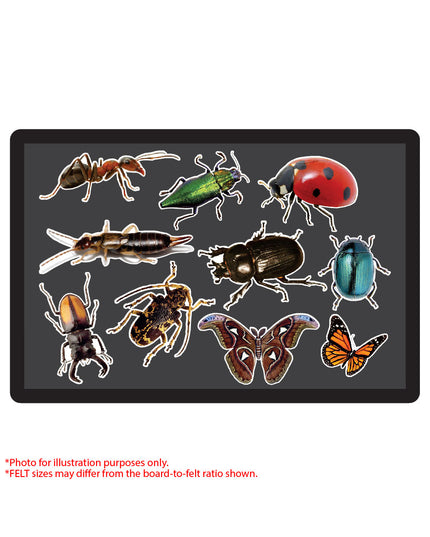 Funky Felt - Insects
