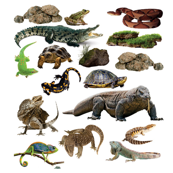 Funky Felt - Reptiles