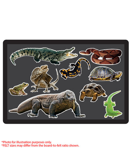 Funky Felt - Reptiles