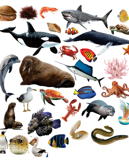 Funky Felt - Sea Animals