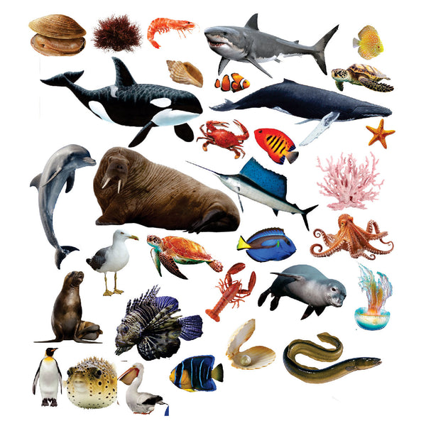 Funky Felt - Sea Animals