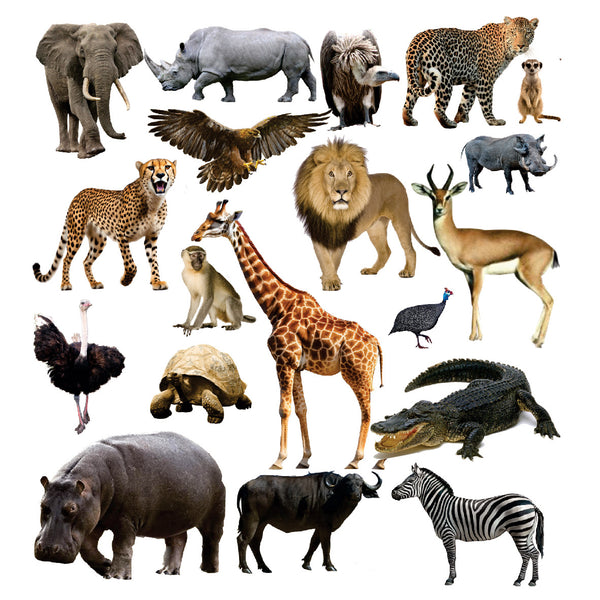 Funky Felt - Wild Animals