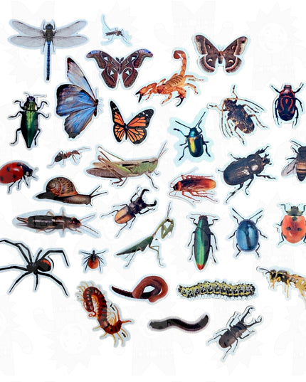 A collection of colorful felt pieces designed to represent various insects.