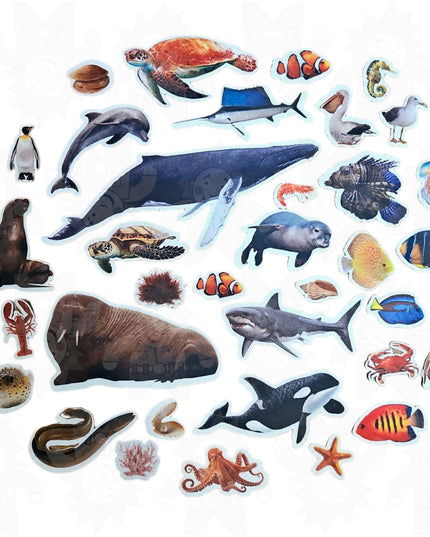 A collection of colorful felt sea animals, including representations of fish, a shark, a whale, and other marine creatures.