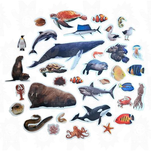 A collection of colorful felt sea animals, including representations of fish, a shark, a whale, and other marine creatures.